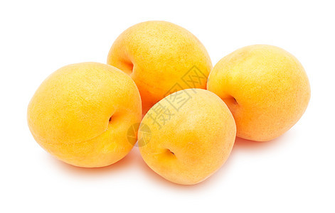 杏子工作室白色黄色茶点甜点橙子食物小吃素食主义者饮食图片