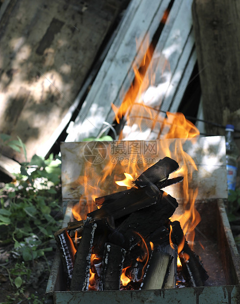在夏花花园露天燃烧营火篝火煤炭火焰花园野餐烧伤壁炉图片