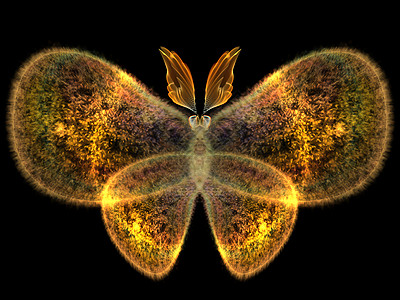 蝴蝶设计辉光动物昆虫插图航班创造力翅膀渲染元素生物学图片