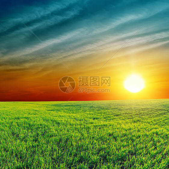 绿地上橙色日落环境地平线农村橙子土地戏剧性爬坡天气城市草原图片