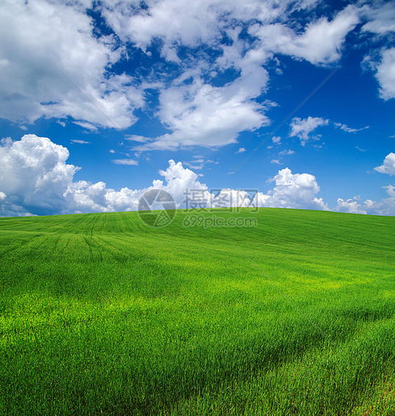 绿绿地远景晴天太阳土地国家牧场农村蓝色天气地平线图片