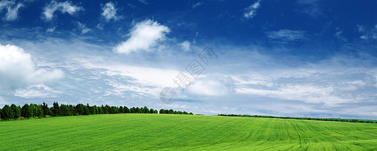 绿绿地天气天堂远景草原场地场景地平线晴天阳光农村图片