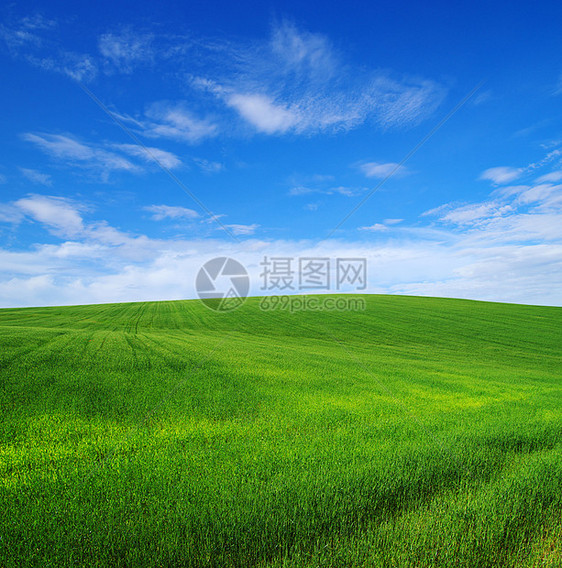 绿绿地生长国家阳光农场天空场景远景土地牧场天气图片