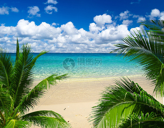 海 海海岸蓝色旅行天堂冲浪海景太阳天空晴天放松图片