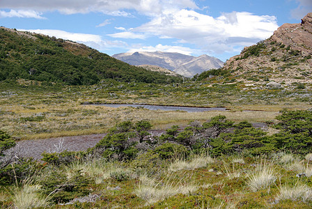 巴塔哥尼亚景观荒野衬套灌木乡村风景农村草原冰川国家图片