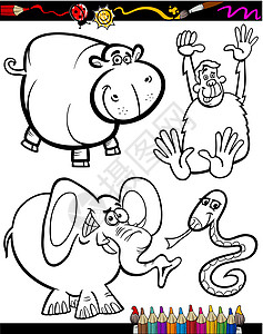 用于配色书的卡通动物河马幼儿园闲暇快乐绘画漫画卡通片插图蜡笔填色图片