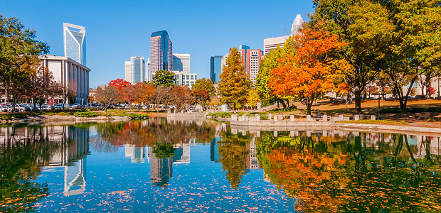 Charlotte 城市天线秋季季节建筑物市中心住宅区植物天际树木景观数控季节性图片