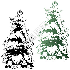 白雪隐藏树设计木头插图森林针叶树元素植物树干松树图片