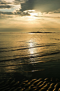 海上日落太阳橙子反射假期旅行海滩晴天阳光海岸地平线图片