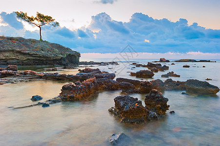 美丽的早晨风景 海洋珊瑚礁图片