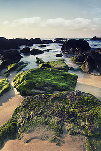 葡萄牙萨格雷斯海岸沿岸地区波浪海滩苔藓海洋岩石海岸线支撑图片