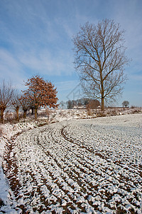 冬季风景 - 05年图片