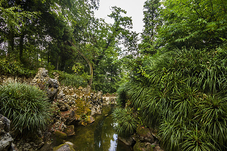 公园 葡萄牙辛特拉石头楼梯旅行观光历史性花园小路旅游遗产池塘图片