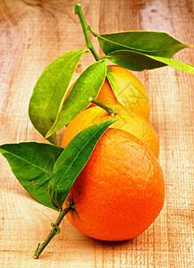 坦格林水果黄色酸味全身橙子圆圈背景甜食叶子橘子图片