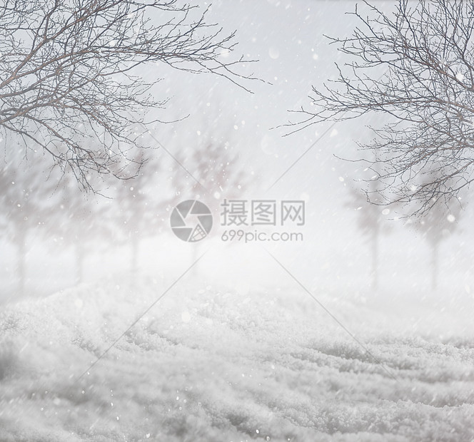 冬季下雪背景场景冻结薄片爬坡晴天森林天空白色降雪风景图片