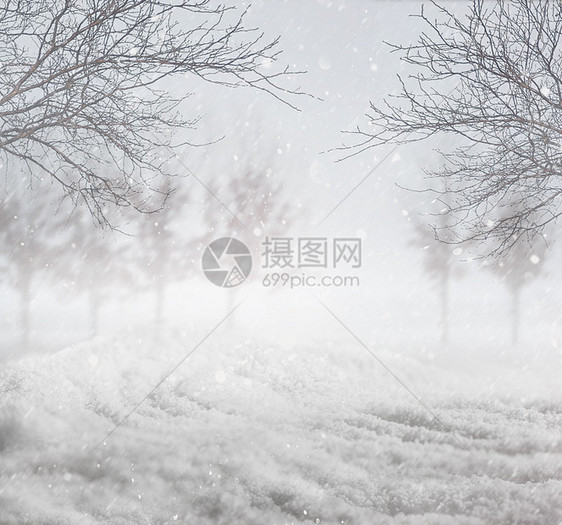 冬季下雪背景场景冻结薄片爬坡晴天森林天空白色降雪风景图片