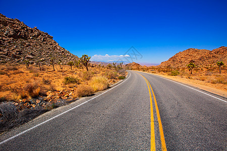 Joshua树林大道 尤卡山谷的加利福尼亚沙漠橙子晴天蓝色干旱石头荒野峡谷土壤旅行土地图片