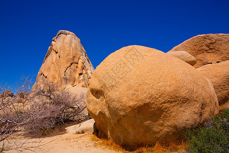 州立公园交叉岩编队地平线天空岩石沙漠石头土壤晴天太阳砂岩图片