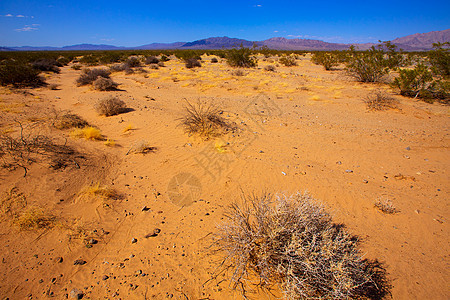 加州尤卡山谷的莫哈沙漠旅行国家荒野编队干旱岩石土地公园蓝色橙子图片