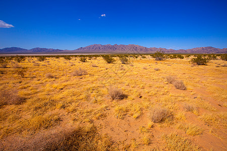 加州尤卡山谷的莫哈沙漠地平线衬套砂岩石头太阳公园编队天空晴天地质学图片