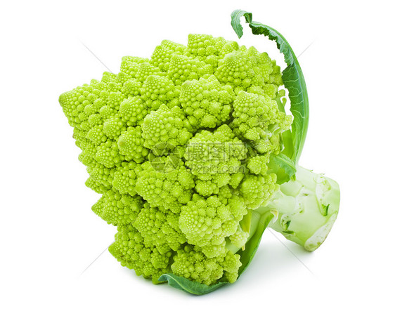 罗曼尼斯科花椰菜宏观菜花食物农业螺旋发芽绿色白色图片