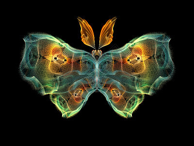 蝴蝶元素触角创造力宏观花园生物学漏洞眼睛装饰品航班插图图片