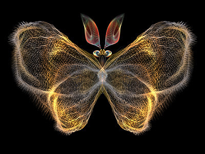 分形蝴蝶昆虫学插图元素科学野生动物触角想像力设计几何学花园图片