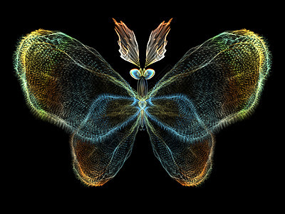 孤立的蝴蝶生物学科学动物眼睛创造力设计翅膀几何学花园昆虫图片