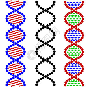 DNA符号 矢量插图蓝色螺旋青色化学微生物学边界染色体医疗分子绘画图片
