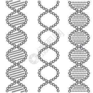 DNA符号 矢量插图化学青色蓝色分子科学生物生活微生物学染色体生物学图片