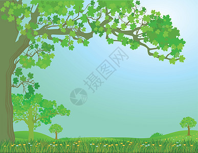 春草地树木天空树叶牧场环境草叶丘陵绿色叶子植物图片