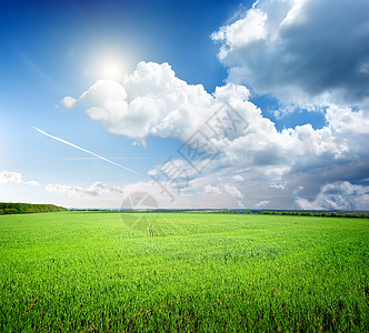 草草面积天空草地花朵风景风光背景蓝色农业田园环境图片