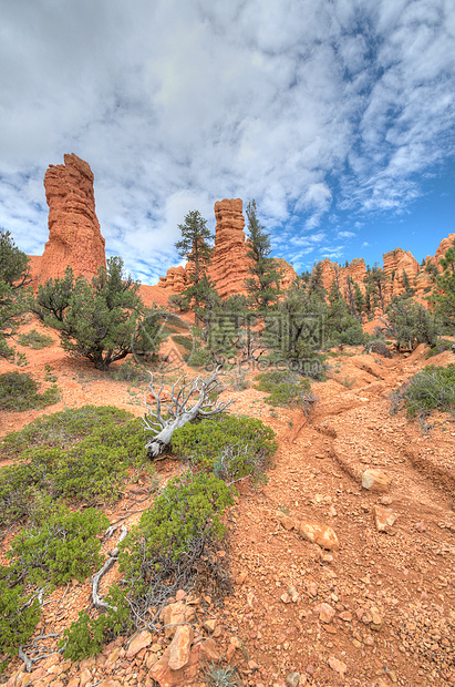 Bryce 峡谷条目图片