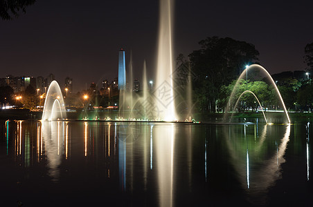 Ibirapuera公园 巴西Sao Paulo地标树木彩灯射流效果圣诞生态城市喷泉建筑学图片