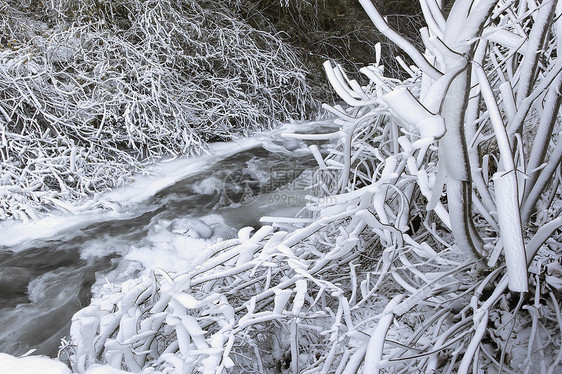 冰雪和冰雪流动溪流图片