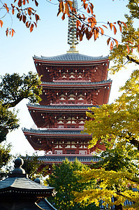 日本东京浅草森素济寺五座古寺塔图片