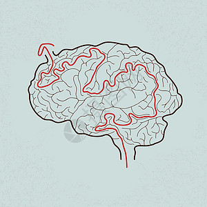 有正确路径的大脑迷宫 矢量 EPS10智力头脑入口圆圈科学创造力绘画困惑想像力小路图片