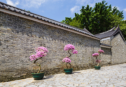 传统中国菜园天空植物入口寺庙蓝色花园房子石头建筑图片