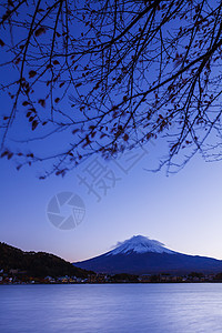 富士山晚上积雪日落植物冰镇公吨阳光顶峰火山图片