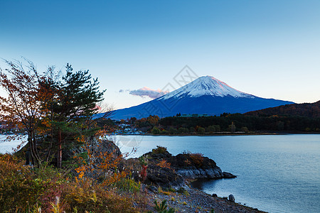 日本的藤山植物阳光冰镇公吨火山顶峰积雪日落图片