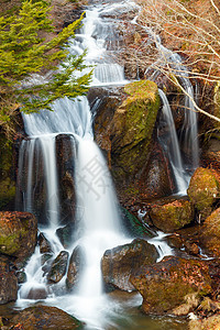 森林的瀑布热带石头流动蓝色荒野岩石木头溪流叶子运动图片