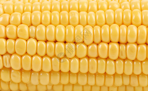 玉米的本底生产玉米芯水果粮食食物内核蔬菜收成叶子宏观图片