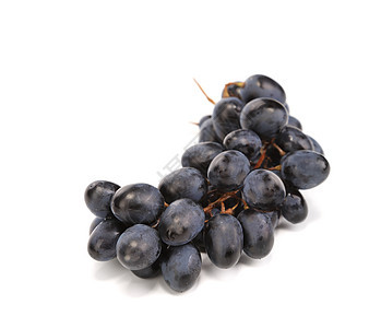 黑熟葡萄的分枝水果蓝色葡萄园美丽植物栽培收成紫色食物藤蔓图片