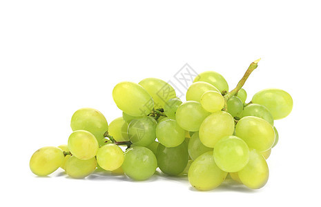 绿色熟葡萄的分枝图片