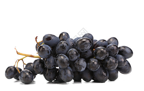 黑熟葡萄的分枝美食蓝色美丽葡萄园紫色栽培植物收成食物水果图片