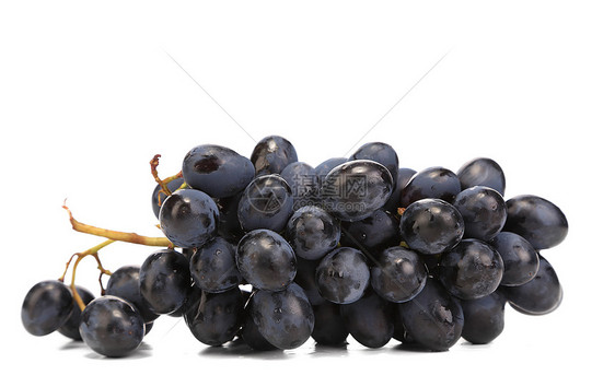 黑熟葡萄的分枝美食蓝色美丽葡萄园紫色栽培植物收成食物水果图片
