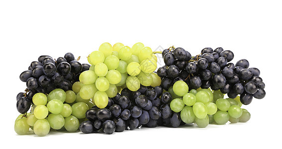 黑葡萄和绿葡萄栽培葡萄园藤蔓美丽蓝色植物食物收成水果美食图片