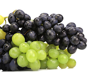 黑葡萄和绿葡萄美食食物植物蓝色水果收成美丽葡萄园藤蔓栽培图片