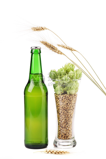 啤酒瓶和杯子里跳着草本植物采摘生产叶子饮料啤酒玻璃麦芽味道酒精图片