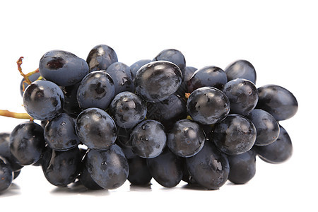 黑熟葡萄的分枝栽培葡萄园美食紫色收成植物食物水果美丽藤蔓图片